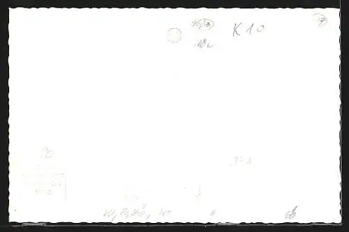 AK Tulln /N.-Ö., Teilansicht mit Kirche