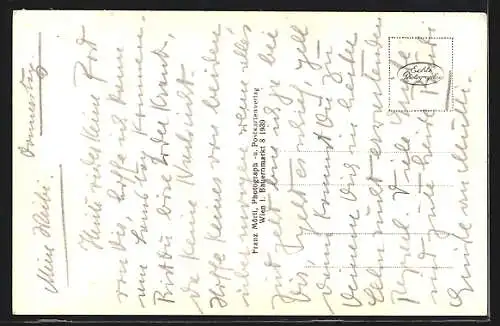 AK Zwettl am Kamp /N.-Do., Teilansicht mit Bäumen