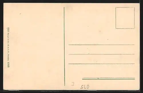 AK Celje / Cilli, Blick auf Ruine Ober-Cilli