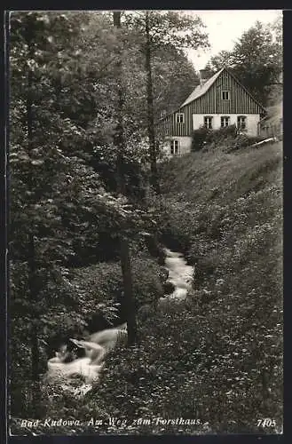 AK Bad Kudowa, A, Weg zum Forsthaus