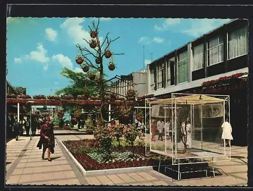 AK Rotterdam, Lijnbaan