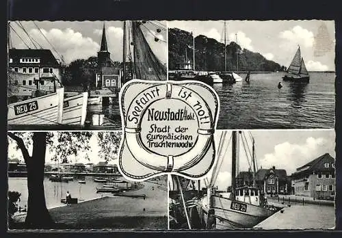 AK Neustadt /Holst., Dampfer und Segelschiffe, Hafenpartie