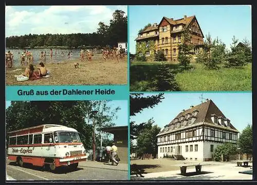 AK Dahlen /Dahlener Heide, Dammühlenteich, FDGB-Erholungsheim Schmannewitz, Heideexpress, Jugendherberge