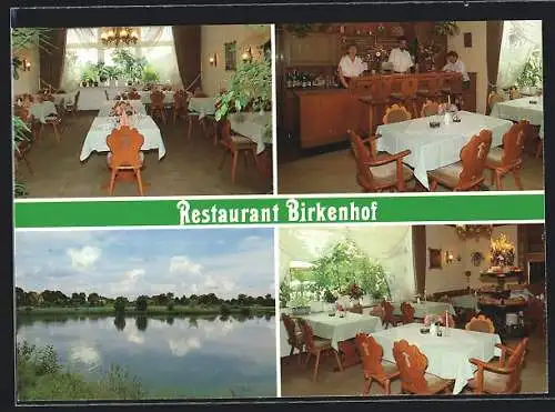 AK Dannenberg /Elbe, Restaurant Birkenhof, Innenansichten, Marschtorstrasse 27c, Seepartie