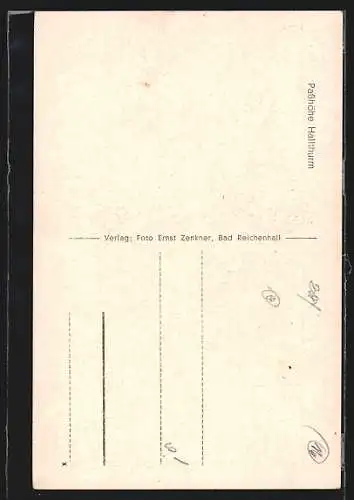 AK Bad Reichenhall, Passhöhe Hallthurm