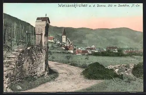 AK Weissenkirchen a. d. Donau, Wegpartie mit Blick auf die Ortschaft