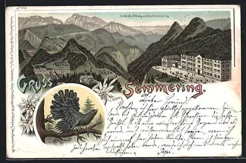 Lithographie Semmering, Südbahn-Hotels, Auerhahn, Edelweiss