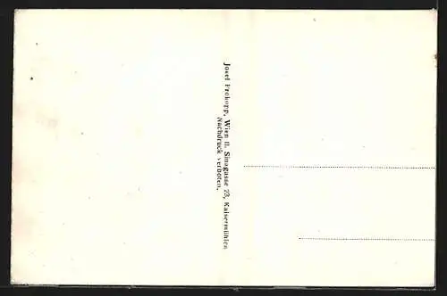 AK Röschitz, Ortsansicht mit Kirche und Kutsche