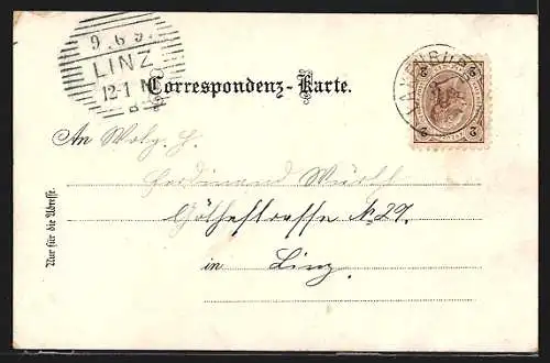 Lithographie Laxenburg, Blauer Hof, Marianeninsel, Franzenburg