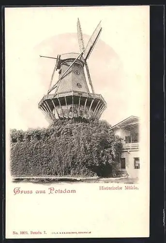 AK Potsdam, Historische Mühle