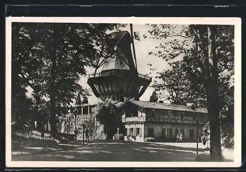 AK Potsdam-Sanssouci, Blick auf die Historische Windmühle