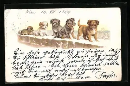 Lithographie Fünf Hundewelpen auf einer beschneiten Mauer
