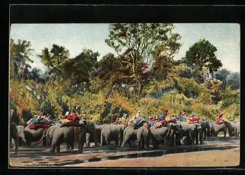 AK Removing newly captured Elephants by the aid of kumkees