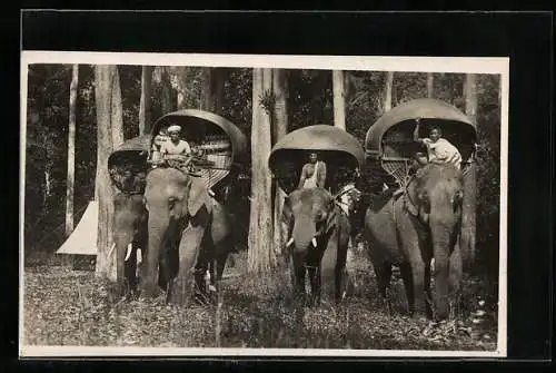 AK Elefanten mit Sänften und reitenden Führern