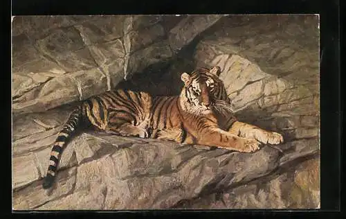 AK Tiger ruht sich in einer Felsspalte aus