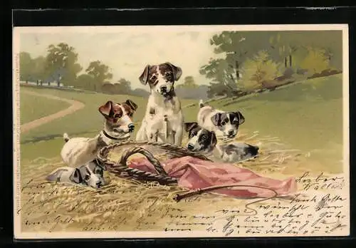 Lithographie Vier Hundewelpen auf einem Strohhaufen in einem Park