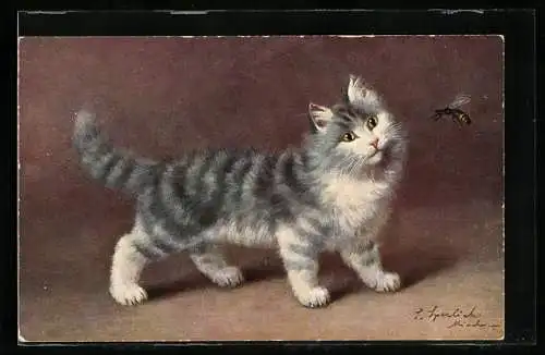 Künstler-AK Junge getigerte Katze mit einer fliegenden Biene