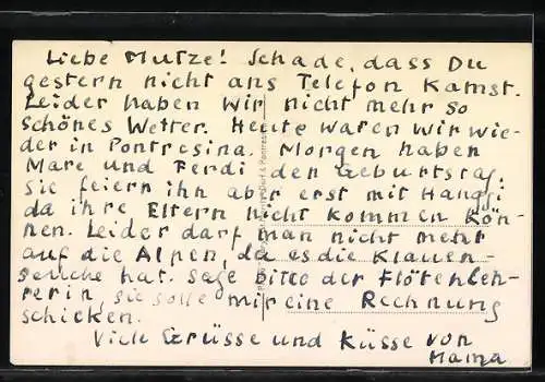 AK Murmeltier in freier Wildbahn