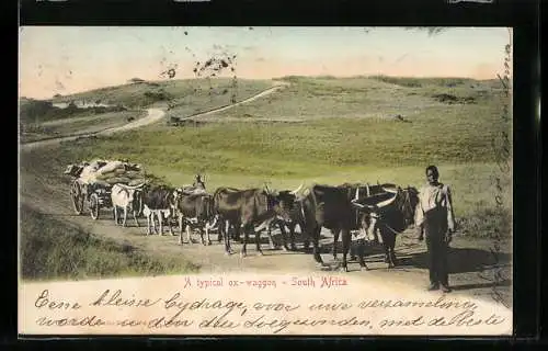 AK South Africa, A typical ox-waggon