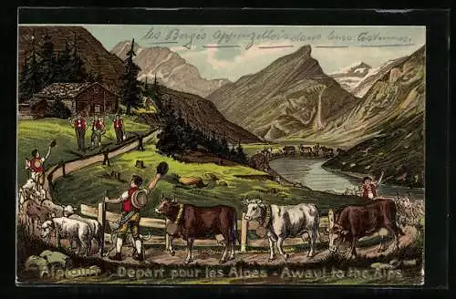 Lithographie Alpfahrt, Almauftrieb, Rinder