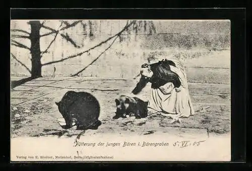 AK Bern, Bärengraben, Fütterung der jungen Bären