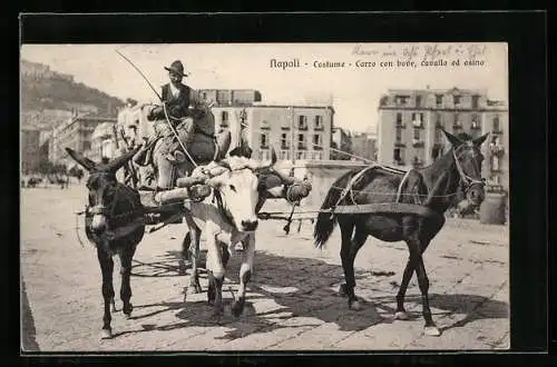 AK Neapel / Napoli, Carro con bove, cavallo ed asino, Fuhwerk wird von Rind, Pferd und Esel gezogen
