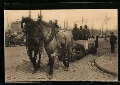 AK Anvers / Antwerpen, Pferdegespann transportiert Fässer, Kaltblüter