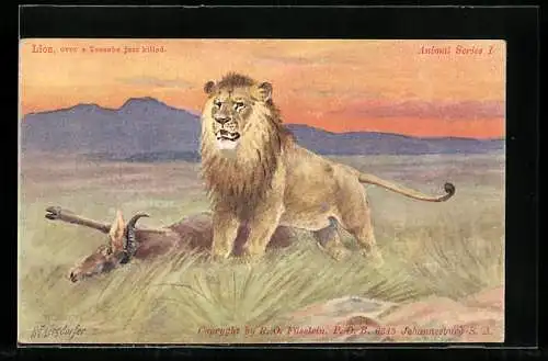 Künstler-AK sign. H. Egersdorfer: Lion over a Tsesebe just killed