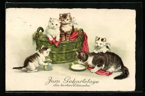 AK Junge Katzen und Katzenmutter mit Korb, Ball und Milchschale, Geburtstagsgruss