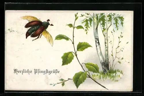 AK Fliegender Maikäfer vor Birken, Pfingstgruss