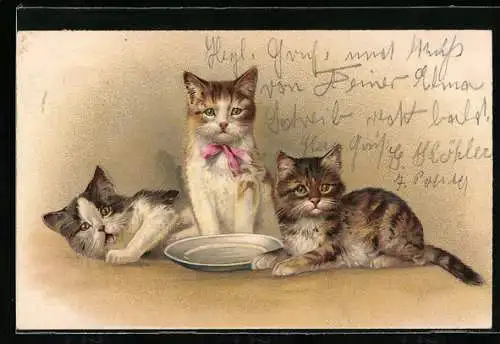 Lithographie drei Katzen liegen neben einer Schüssel