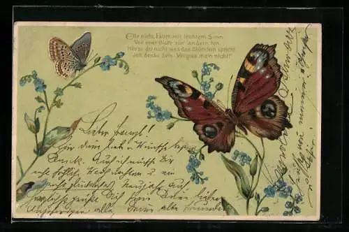 Lithographie Schmetterlinge und Vergissmeinnicht
