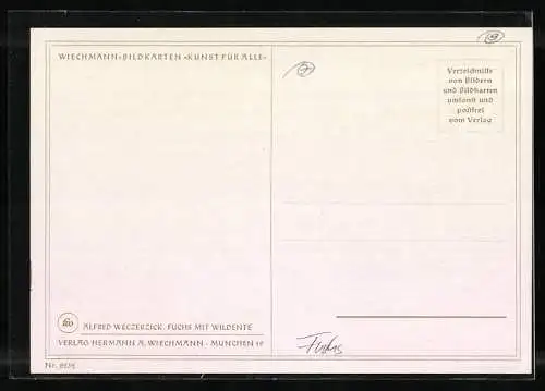 Künstler-AK sign. Alfred Weczerick: Fuchs jagt Stockente