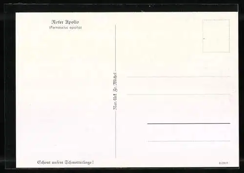 AK Schmetterling: Roter Apollo, Schont unsere Schmetterlinge!