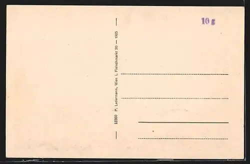 AK Fischau, Panoramablick auf den Ort