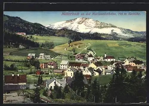 AK Mitterbach am Erlaufsee, Gesamtansicht