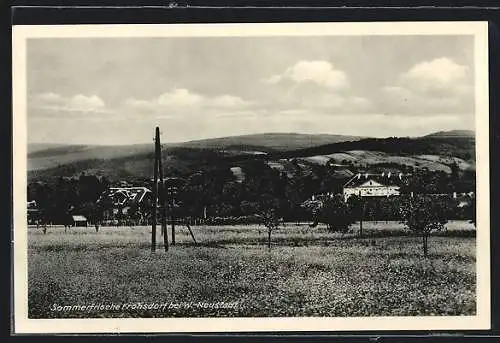 AK Frohsdorf bei W.-Neustadt, Blick auf den Ort