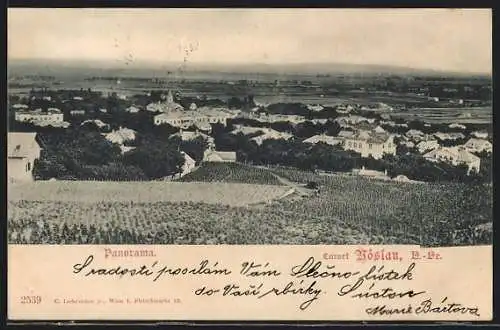 AK Vöslau, Panorama vom Curort