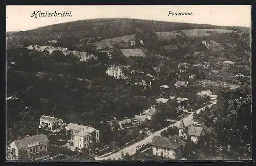 AK Hinterbrühl, Panorama aus der Vogelschau