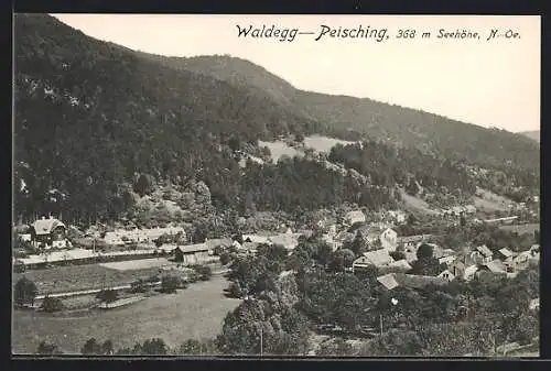 AK Waldegg-Peisching, Ortspartie im Gebirge