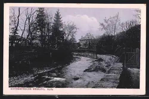 AK Weidling, Idyllische Partie am Wasser