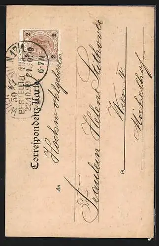 AK Mödling, Ortsansicht mit Burgruine