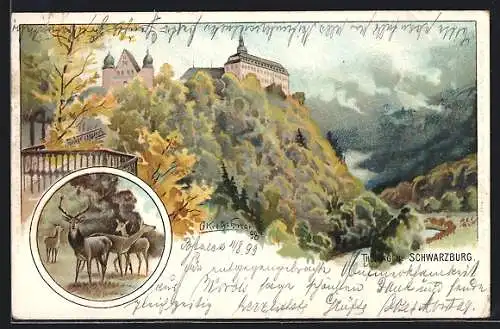 Künstler-Lithographie Schwarzburg, Blick zum Schloss, Hirsch mit Rehen