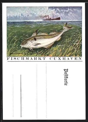 AK Cuxhaven, Fischmarkt, Schellfisch und Dampfer