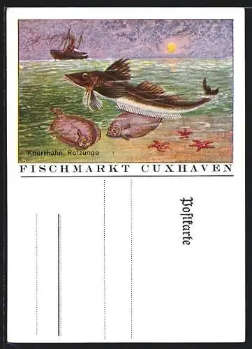 AK Cuxhaven, Fischmarkt, Knurrhahn, Rotzunge, Fischerboot