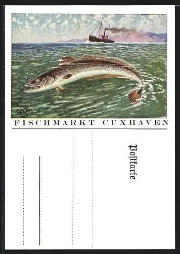 AK Cuxhaven, Fischmarkt, Seehecht, Fischerboot
