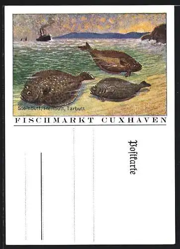 AK Cuxhaven, Fischmarkt, Steinbutt, Heilbutt, Tarbutt, Fischerboot