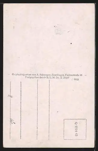 AK Bisingen-Hohenzollern, Ortsansicht mit Umgebung