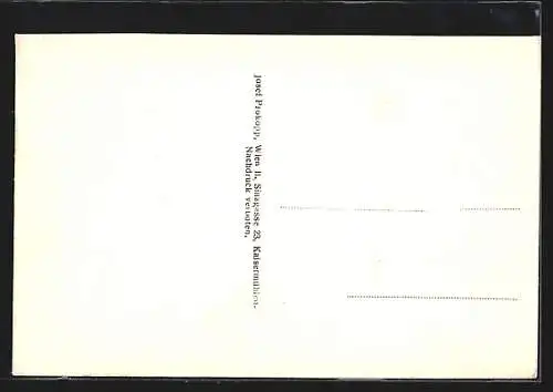 AK Zelking, Gesamtansicht aus der Vogelschau