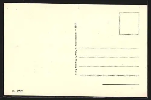 AK Wieselburg a. d. Erlauf, Strassenpartie, Ruderboot auf dem Wasser